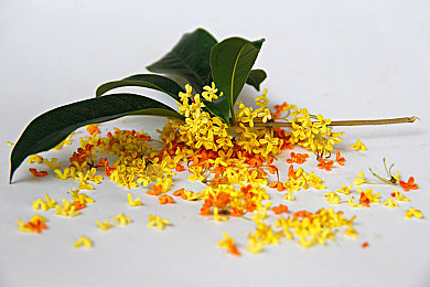 404黄台软件禁用APP入口大全：极限代码都市狂飙，数字迷宫中的赛车解谜之旅-2