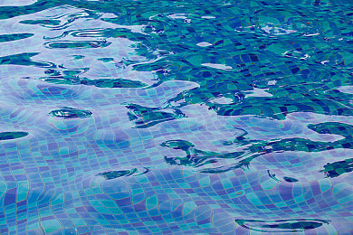 红豆2.0多功能：《荒野驾驭者》新版上线，模块化载具系统重塑开放世界驾驶体验