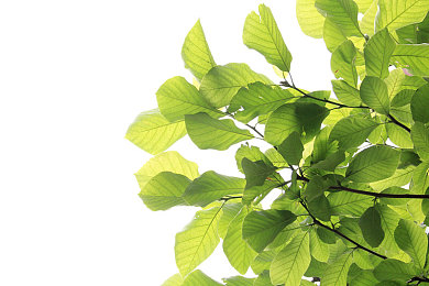 十大禁止安装的有风险软件：《极速狂飙：暗网追击》发布紧急安全预警，玩家需警惕第三方模组陷阱-2