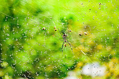 男生女生一起差差差差下载大全：竞速游戏新趋势，双人协作打破性别界限，共享驾驶乐趣