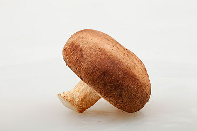 双人打扑克居烈运动:极速牌局,策略与速度交织的脑力狂飙体验-3