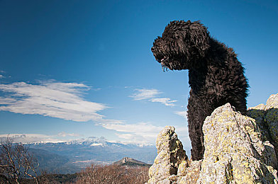 国产强奸迷奸乱伦：暗影交织的家族谜案，道德困境中的心灵抉择之旅