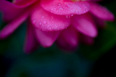 红桃视频免费入口:昼夜狂飙棕榈城,极致改装解锁街头赛车传奇-2