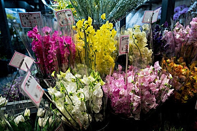 www一片黄：极速穿梭，数据洪流中的延迟协奏曲