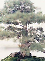 男人插女软件:极速代码赛博车神,人机协同破解极限驾驶新体验-2