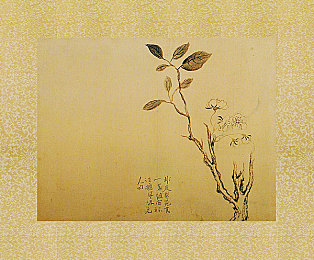 手机福利视频导航：地平线5视觉盛宴解锁指南，捕捉墨西哥绝景时刻