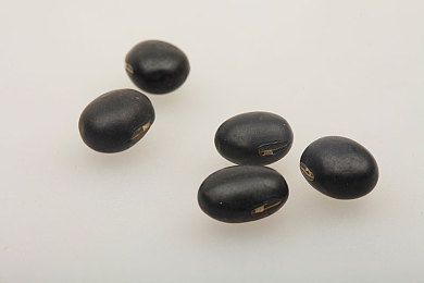 91吃瓜群：探索地平线，竞速游戏中的隐藏乐趣与创意狂欢-2