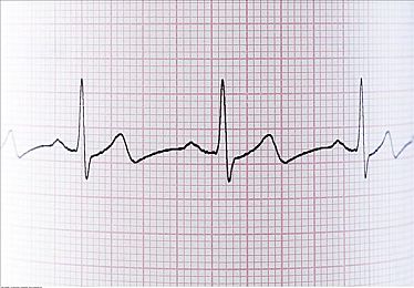 网站你应该知道我说的是什么：极限竞速地平线5，墨西哥开放世界竞速新标杆-2