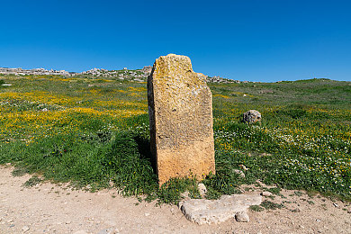 黑料猎奇：夜幕传说，街头竞速中的隐秘法则与未解谜影
