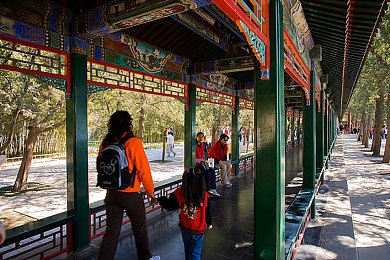 91成人黑料：揭秘《91号公路：暗影狂飙》隐藏赛道与剧情，解锁终极驾驶体验-1