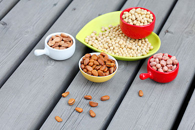 天堂中文a√8：东方极速幻想赛道，驾驶灵力赛车驰骋仙境