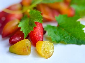 男生坤坤射进女生的坤坤里：极速切入，毫秒间的战术博弈艺术-2