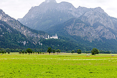 天天碰天天舔：碰撞的艺术，修复的冥想，指尖上的汽车重生之旅