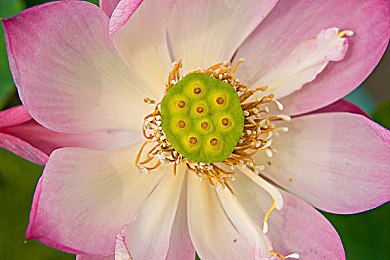 10大禁用app：疾驰于禁忌边缘，赛博都市的逃亡抉择-2