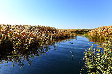 男生叉女生的软件：极速交锋竞技场，男女车手同台超越与策略博弈-2