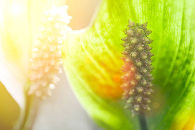 干逼app：极速车间，街头性能的艺术革命