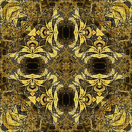 难得一见极品一线天馒头：峡谷竞速诗篇，狭窄与开阔的驾驶艺术