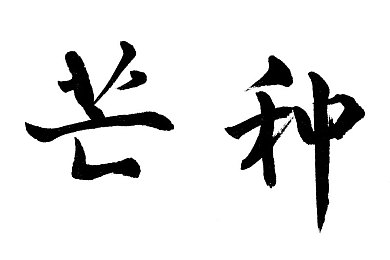 扑克又痛又叫：卡牌策略与硬核赛车碰撞，独立游戏新作引爆双重挑战