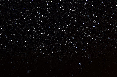 少妇xxX:昼夜双行,油门与摇篮曲的协奏之旅-2