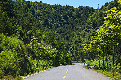 绿巨人聚藏宝阁:超级英雄座驾全收集,深度改装征服多元赛道-2