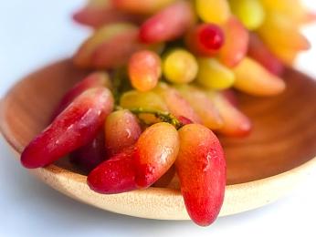 国产精品成人AV电影：极速狂飙赛道之王，硬核赛车体验革新之作