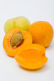 男人与雌宠物交XX：与你的灵魂座驾共赴极速，缔造赛道不朽羁绊-2