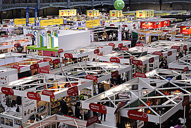 虹猫大本营：复古赛车基地经营，像素赛道极速狂飙