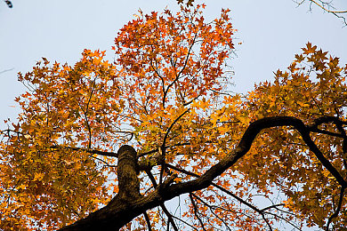 国一区二区：征服双赛道传奇，地平线5全地形驾驶终极攻略发布