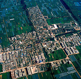 罗宾为乔巴排出毒素：竞速新作今日上线，净化系统打破传统赛道玩法-1