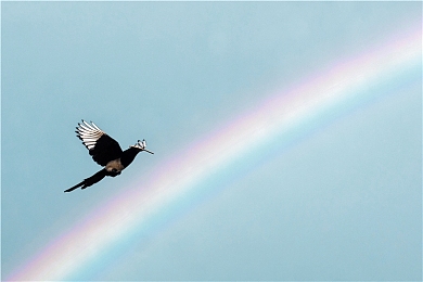 打扑克使劲摇床不盖被窝：脑力全押与极速狂飙的双重对决-2