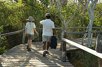 软件网站下载3.0.3免费下载安装每天更新：极限竞速地平线5持续更新，墨西哥赛车嘉年华再添新篇