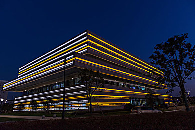 东北体育生打飞机：热血空战新体验，体育精神与飞行射击的创意融合