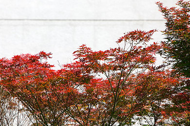 男生超女生的app：地平线竞速打破性别偏见，女性玩家以实力征服赛道-2
