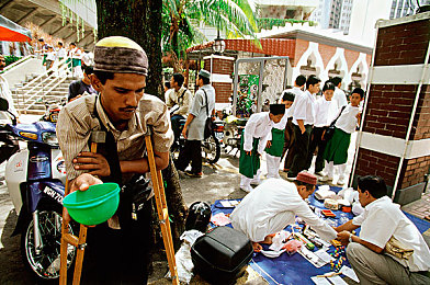 真人床上拨萝卜:独立新作农场狂飙萝卜竞速上线,第一人称农田疾驰收割体验颠覆传统-2