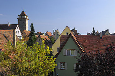 男同游戏：兄弟同心极速狂飙，情感纽带驱动冠军之路