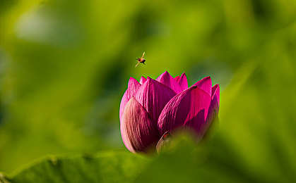 奴役 支配 变态 捆绑：驾驭钢铁猛兽，在赛博都市书写你的竞速法则