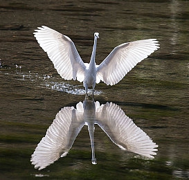 别摸了 啊 嗯上课呢h鹿晗:《极速课堂》评测,校园飙车与逃课战术引爆玩家社群-3