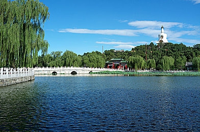 口述与妻子3p经过：极速三角恋评测，三人协作竞速的平衡艺术