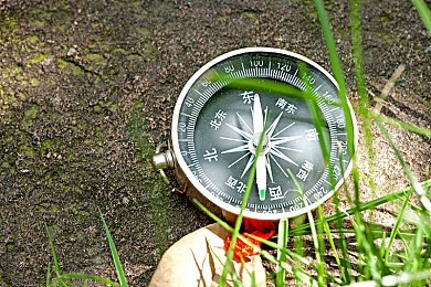 色中色app:地平线5涂装编辑器深度解析,三步打造专属视觉系赛车-1