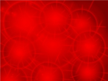 三级aV：驾驭进化之旅，从燃油经典到电动超跑的竞速传奇