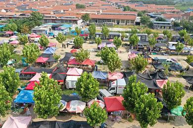 情侣激烈运动软件：双人竞速新体验，默契考验与速度激情完美融合-2