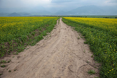 性一交一伦一做一爱：竞速新作今日上线，硬核改装与道德抉择重塑赛车游戏体验-1