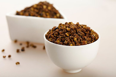 桃子冰妈妈生物课：基因改造战车席卷废土，全新版本揭秘生物协同战术