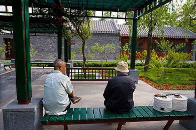 体育生沦陷沦为胯下玩物：极限竞速街头狂飙深度评测，速度与灵魂的博弈今日揭晓
