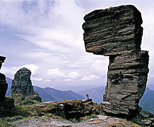 夫妻69乐园：双人赛车革命今日上线，默契搭档决胜未来都市赛道