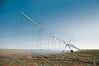 挠脚心+折磨+抹油+哭喊作文：当你的方向盘因疼痛而颤抖，一场与机械灵魂共舞的残酷竞速