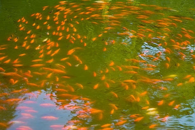 蜜桃视频直播app：虚拟赛车直播新作发布，沉浸式互动驾驶掀起竞速狂潮