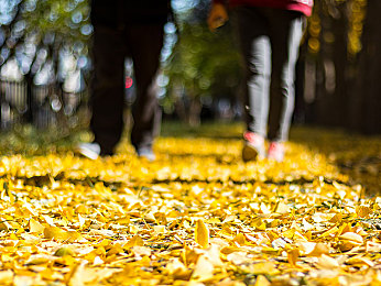 78m：极限竞速地平线传奇弯道攻略，刹车点的终极艺术今日揭晓-2