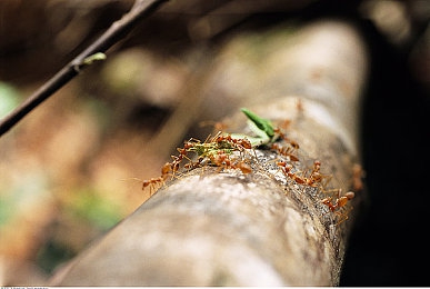 十大成品短视频软件的优势：极速剪辑师，打造你的专属赛车电影，点燃创作激情