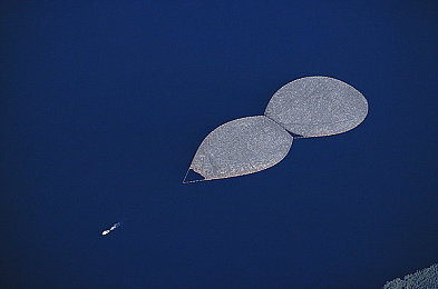 日本调教：引擎轰鸣的艺术，东京街头改装竞速新境界